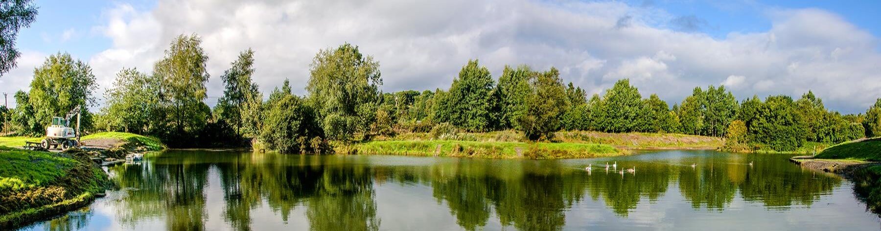 Winner small image - The Green Frog